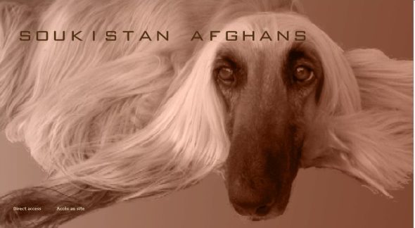 SOUKISTAN - Image 1