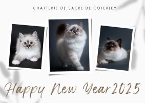 DE SACRE DE COTERLEY & DES SHELDRICK NEVA