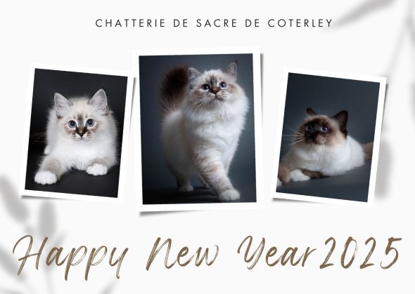 DE SACRE DE COTERLEY & DES SHELDRICK NEVA - Image 1