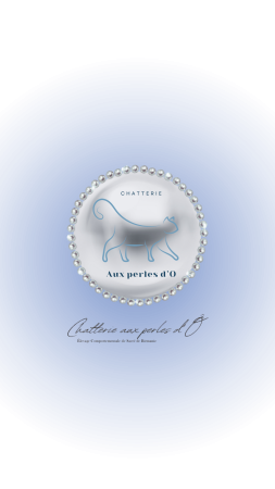 CHATTERIE AUX PERLES D O - Image 7