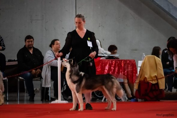 DE L’AUBE SIBERIENNE - Image 6