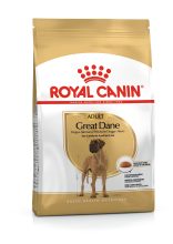 Dogue Allemand adulte