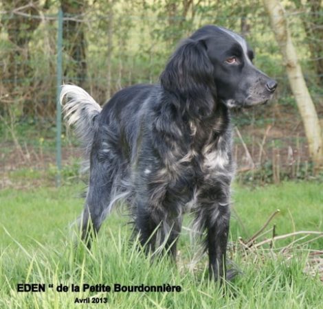 MERCIER JACQUES - Image 1