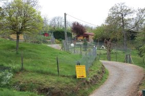 OF THE APPLE MILL