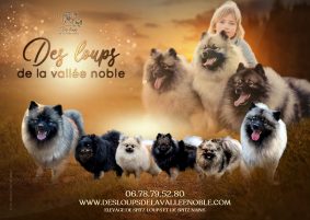 ELEVAGE DE LA VALLEE NOBLE