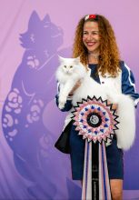 Chatterie de Mjöllnir