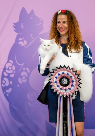 Chatterie de Mjöllnir - Image 3