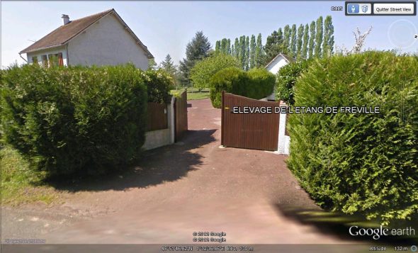 DE L&rsquo;ETANG DE FREVILLE - Image 2