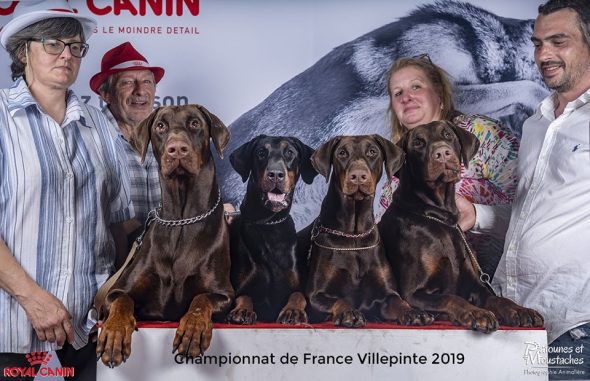 GALLIC TEMPLUM - Image 6
