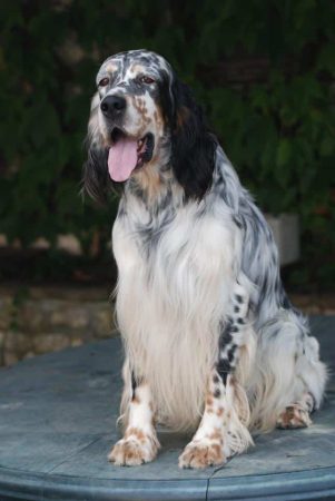 MULERO ANNIE - Image 2
