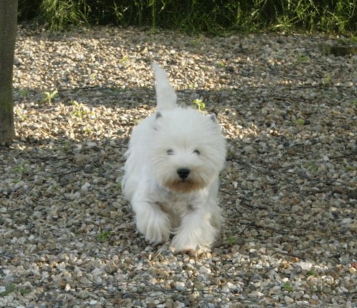 BERDUCK AURELIE - Image 1