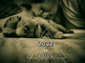 Love is a DOG