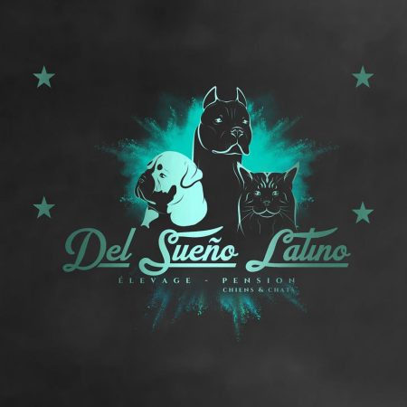 DEL SUENO LATINO - Image 1
