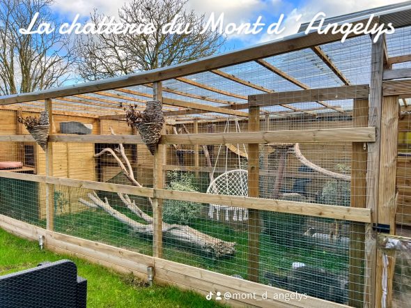 CHATTERIE DU MONT D ANGELYS - Image 1