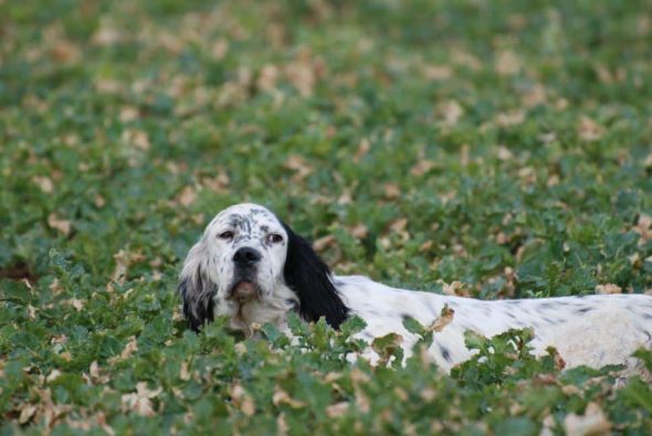 MULERO ANNIE - Image 1