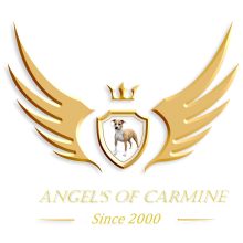 DE ANGEL&rsquo;S OF CARMINE