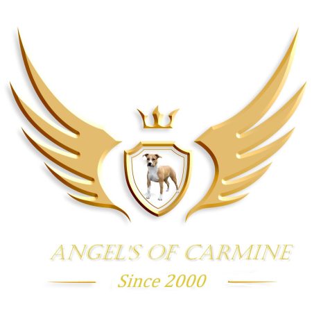 DE ANGEL’S OF CARMINE - Image 1