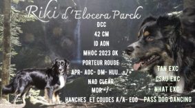 DE LA RIKI ET COMPAGNIE