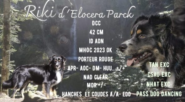 DE LA RIKI ET COMPAGNIE - Image 3