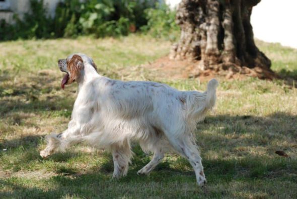 MULERO ANNIE - Image 6