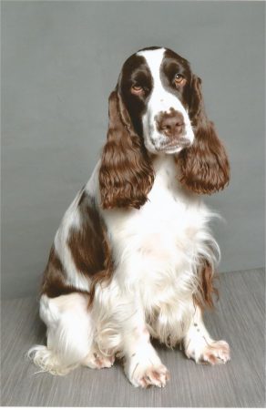 DELAFENESTRE WENDY - Image 4