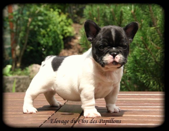 THIRION ESTELLE - Image 8