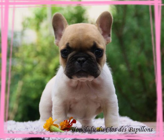 THIRION ESTELLE - Image 11