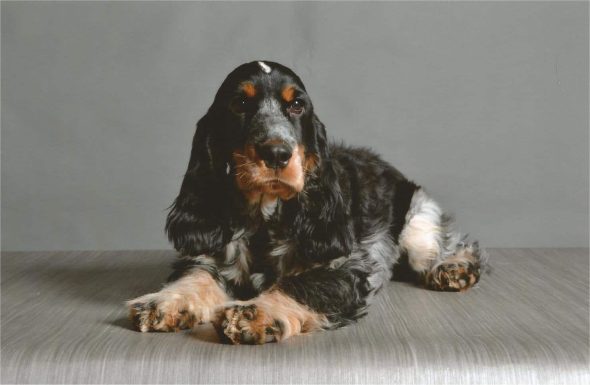 DELAFENESTRE WENDY - Image 2