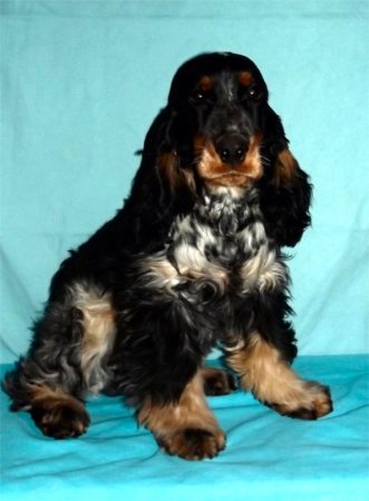 DELAFENESTRE WENDY - Image 1