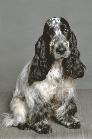 DELAFENESTRE WENDY - Image 6