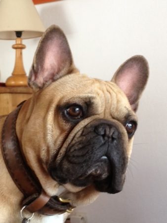 AUDIBERT ANNE MARIE - Image 9