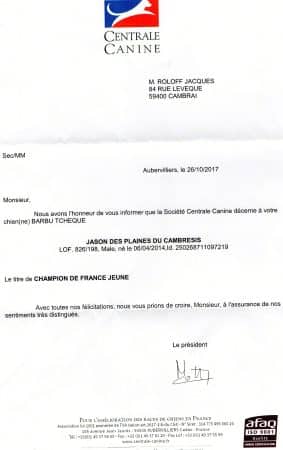 DES PLAINES DU CAMBRAISIS - Image 1