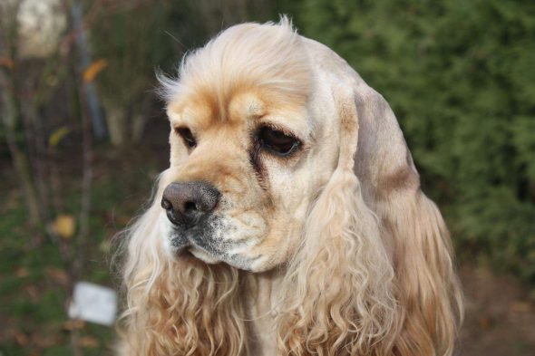 KIRKHAM NICOLA - Image 1