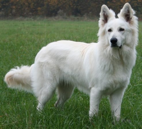 GRAUSS KATHIA - Image 7
