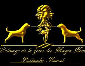 TONADRE Morgane