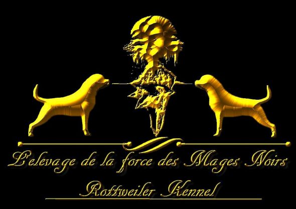 TONADRE Morgane - Image 1
