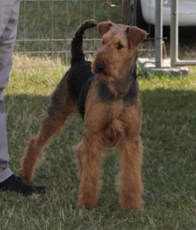 GACON MARC - Image 1