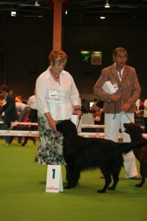 BLONDEL MARCELLE - Image 2