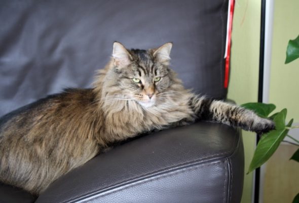 FRITSCH SYLVIE - Image 6