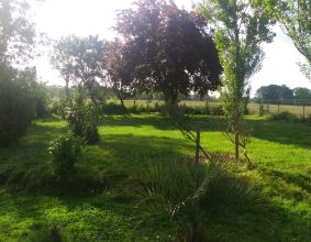LABORDE ERIC