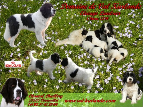 DU DOMAINE DE VAL KURLANDE - Image 2