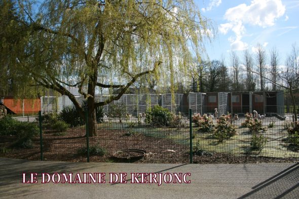 DU DOMAINE DE KERJONC - Image 1