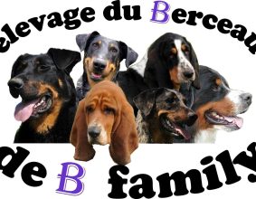 DU BERCEAU DE B FAMILY