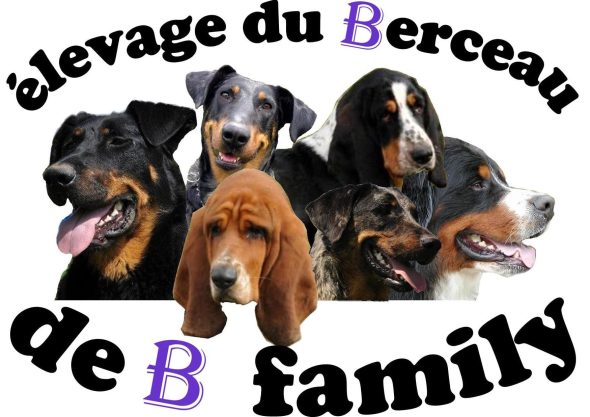 DU BERCEAU DE B FAMILY - Image 1