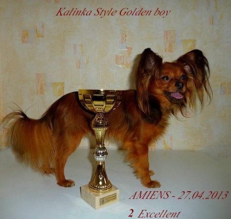 KALINKA STYLE - Image 6