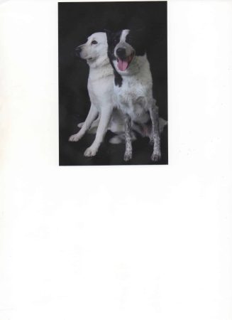 DE ROC NOIR ET DE SABLE BLANC - Image 1