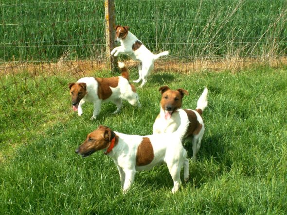 LE BOISLET - Image 6