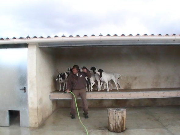 GERMON JEAN FRANCOIS - Image 6