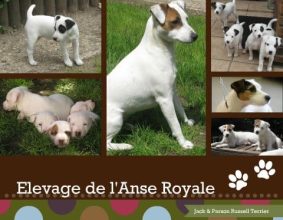 DE L&rsquo;ANSE ROYALE