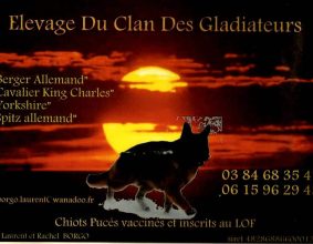BORGO LAURENT